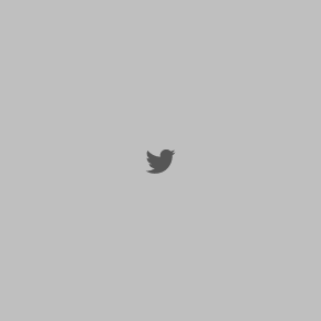 twitter image